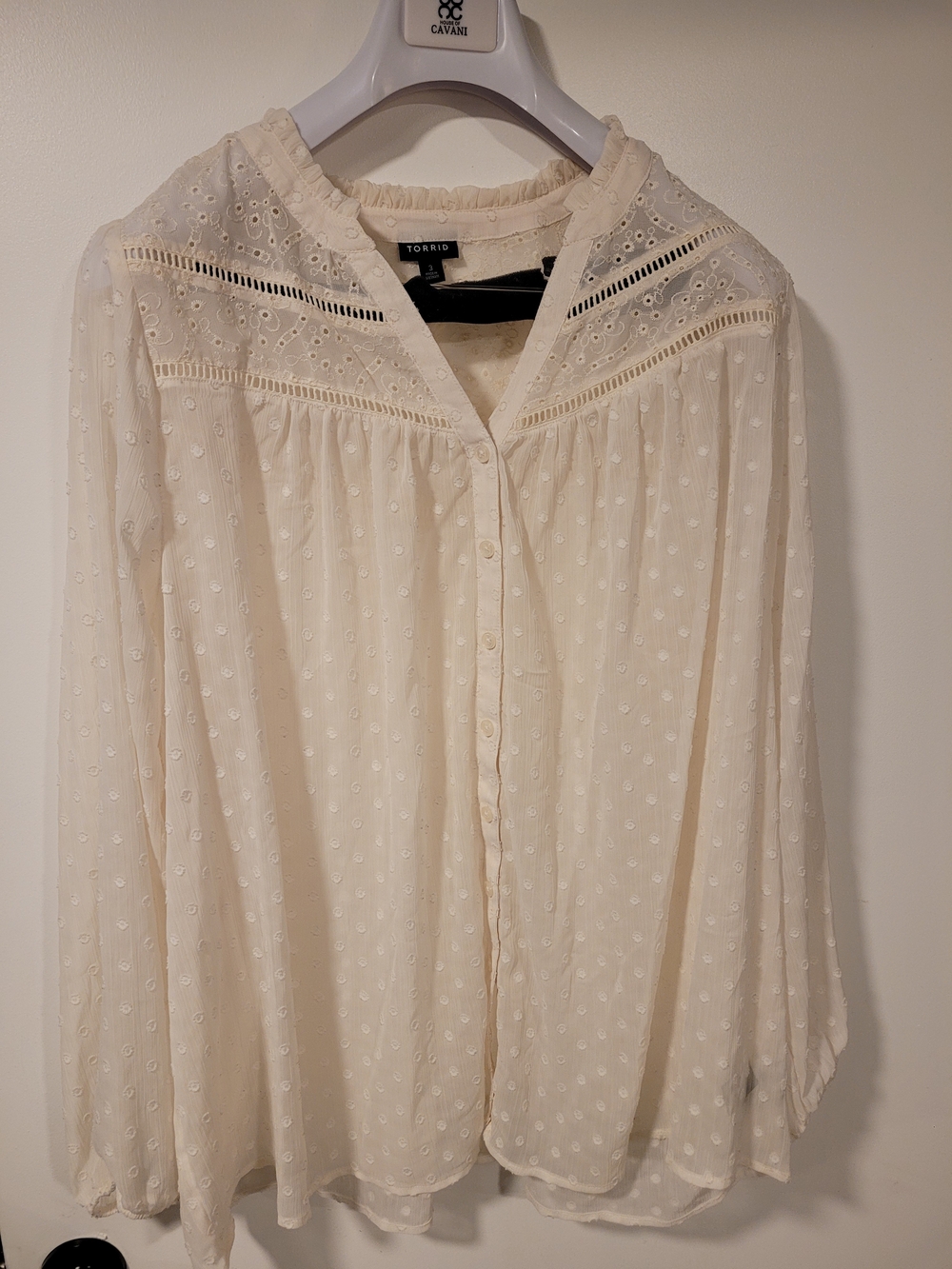torrid Ivory Eyelet Swiss Dot Button-Up Blouse